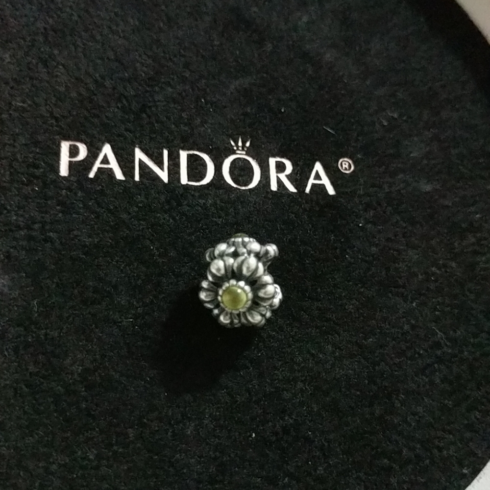 Pandora Charm
